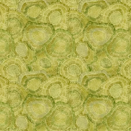 Kiwi Spice Rings Kiwi 5 inch repeat # 1822-63 from Henry Glass Sold by the Half Yard