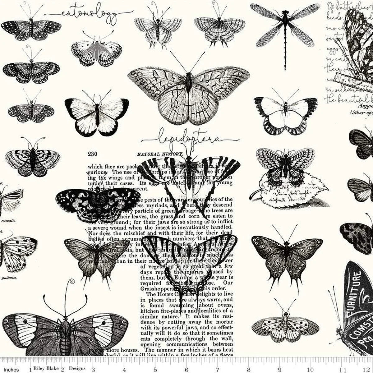 Butterflies print cotton fabric panel, white with black illustrated moths and butterflies
