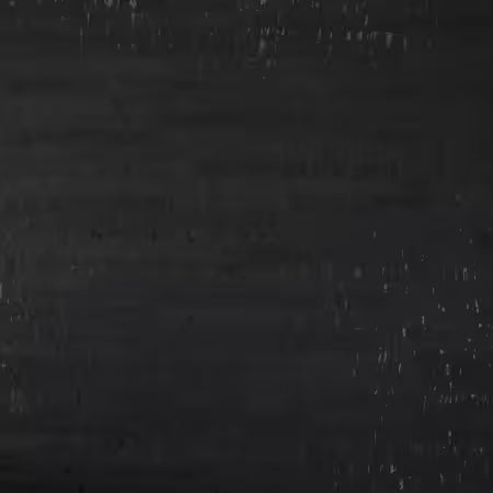 Onyx Rustic Cork 1/2 Yard # HCFONYX from Sallie Tomato Cork Cuts Collection