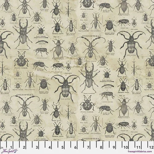 Neutral insect specimen print fabric with repeating black and gray beetle illustrations