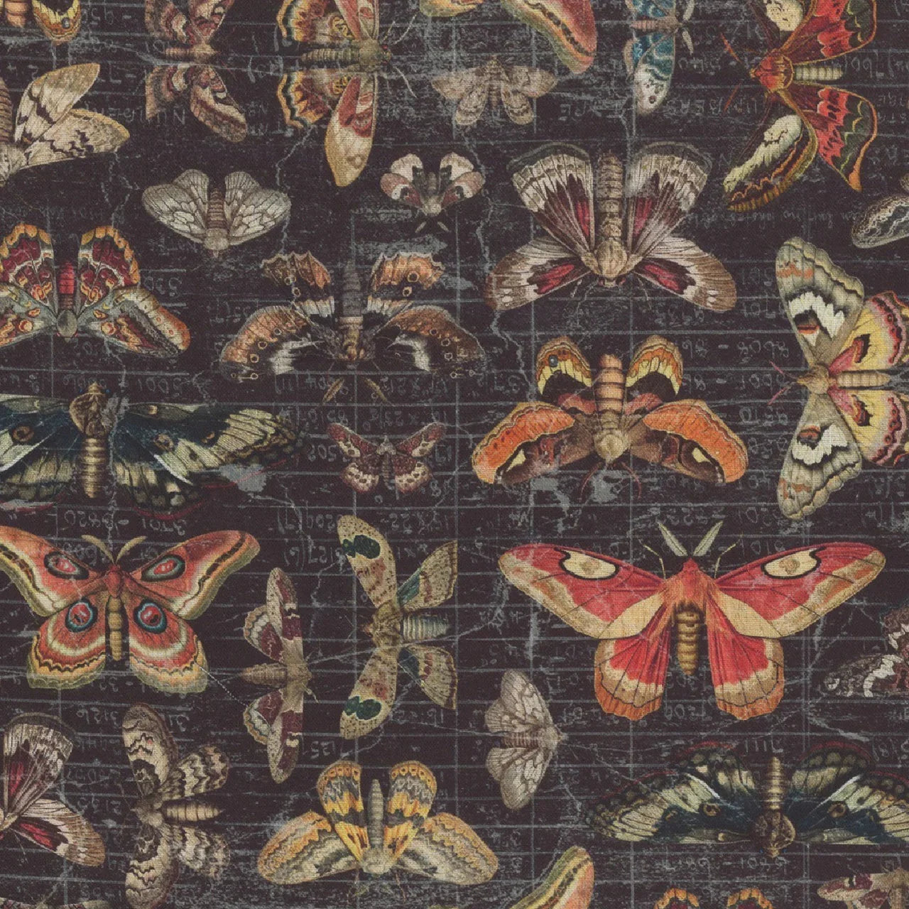 Halloween moth pattern fabric with multicolor moths on a dark background