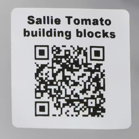 Sallie Tomato Vintage Sewing Machine Building Block Set