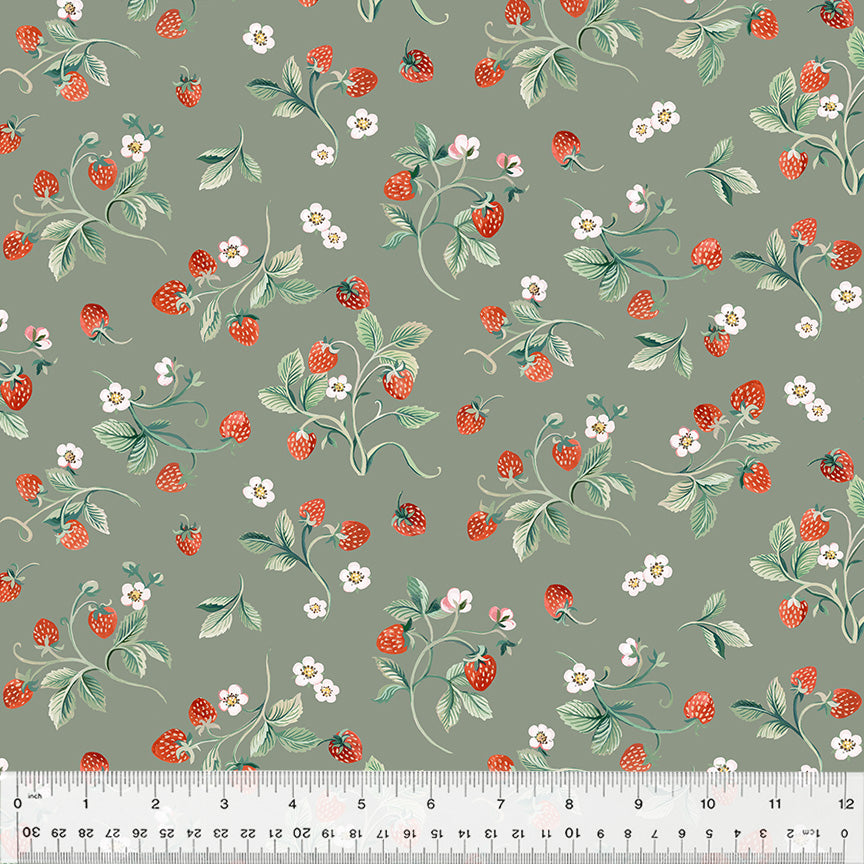 Robin Dark Sage Strawberries 53842-3 by Clare Therese Gray for Windham Fabrics