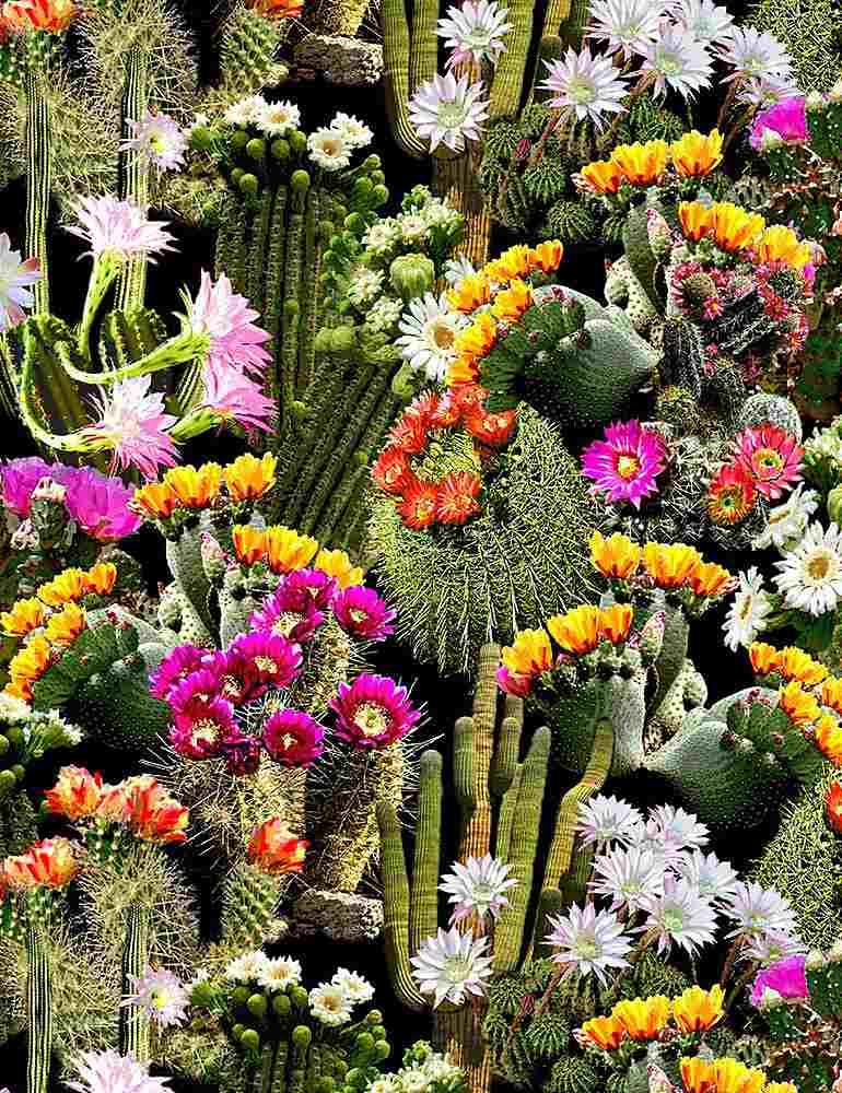 Packed Cacti Flowers from Timeless Treasures Default Title