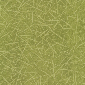 Forest Chatter Green 10299-G by Maywood Studio