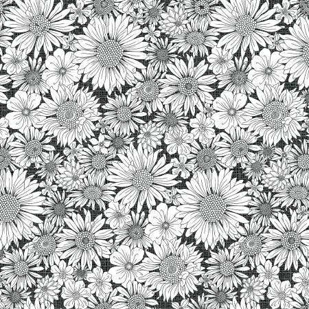 Charcoal Upsy Daisy