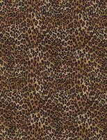 Leopard Tiny Skin TT-C2722 from Timeless Treasures