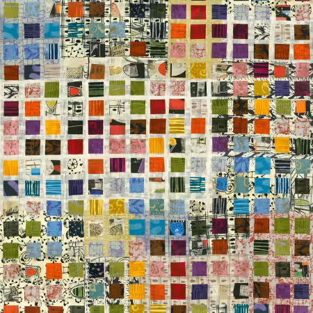 Windham Fabrics Curiosity Field Guide quilting fabric with a patchwork of colorful printed squares