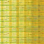 Windham Fabrics The Plaid One Marcia Derse Yuzu Plaid Yuzu 54919D 2 from Windham Fabrics