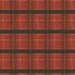 Windham Fabrics The Plaid One Marcia Derse Window Pane Plaid Carn Red 54922D 6 from Windham Fabrics