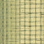 Windham Fabrics The Plaid One Marcia Derse Wild Asparagus Plaid Wild Asparagus 54926D 14 from Windham Fabrics
