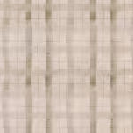 Windham Fabrics The Plaid One Marcia Derse Oatmeal Plaid Oatmeal WF 54931D 19 from Windham Fabrics