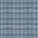 Windham Fabrics The Plaid One Marcia Derse String Theory Plaid Clueprint 54932D 20 from Windham Fabrics