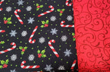 Busy Bea Bundle: Coasters (4) Candy Canes