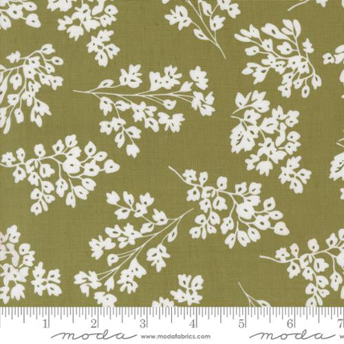 Botany Seedlings Basil 11555 17 Moda #1 by Alli K Designs for Moda Fabrics Sold by the Half Yard