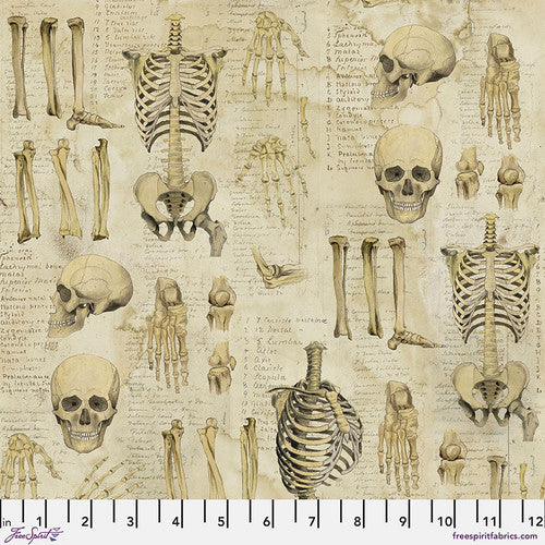 Tim Holtz Eclectic Elements Anatomy - Neutral || Laboratory PWTCH181.NEUTRAL from Free Spirit Sold by the Half Yard