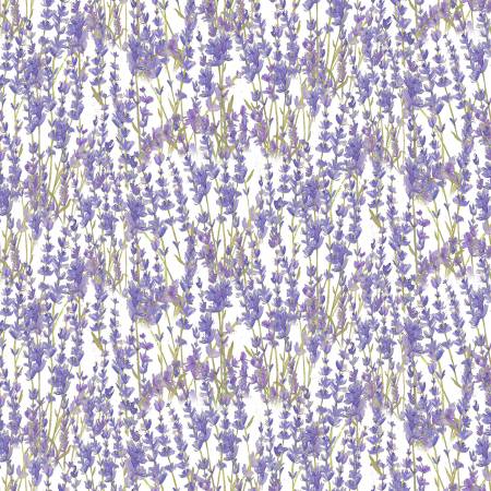 ENJOY THE LITTLE THINGS DAN DIPAOLO LAVENDER WHITE Y4062-1 from Clothworks Fabrics