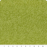 1 yard Cut Pansy's & Posies Fern Dotty Thatched 48715-216 by Moda Fabrics Sold by the Half Yard