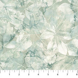 1 Yard Cut Forest Leaves in Soft Sage from Northcott