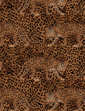 Leopard Print from Timeless Treasures Sold by the Half Yard