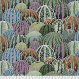 Watermelons - Grey (Philip Jacobs for Kaffe Fassett Collective) Sold by the Half Yard