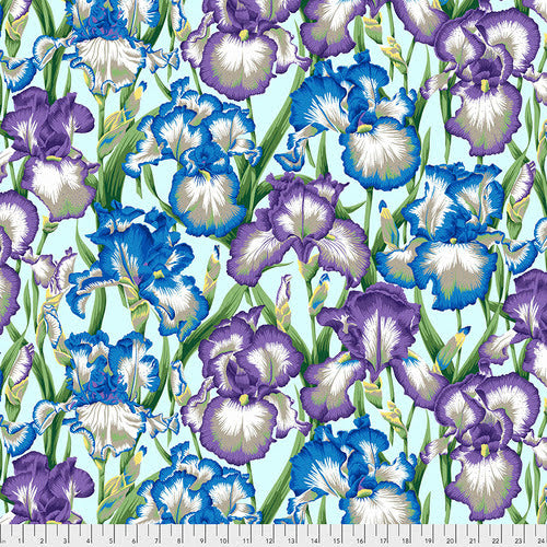 1 Yard Cut Bearded Iris - Cool from Free Spirit