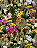 Packed Cacti Flowers from Timeless Treasures Sold by the Half Yard