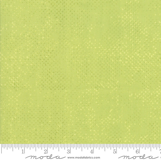 Spotted Pistachio from Moda Fabrics Sold by the Half Yard