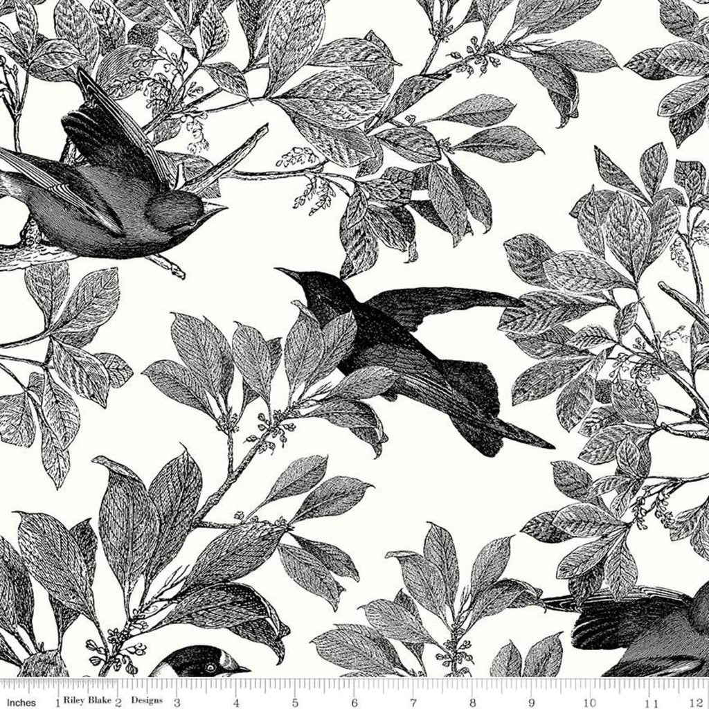 1 Yard Cut Classic Caskata Birds Black from Riley Blake