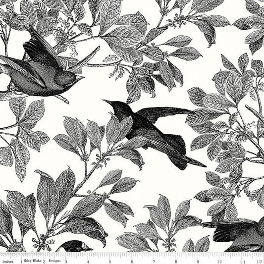 1 Yard Cut Classic Caskata Birds Black from Riley Blake