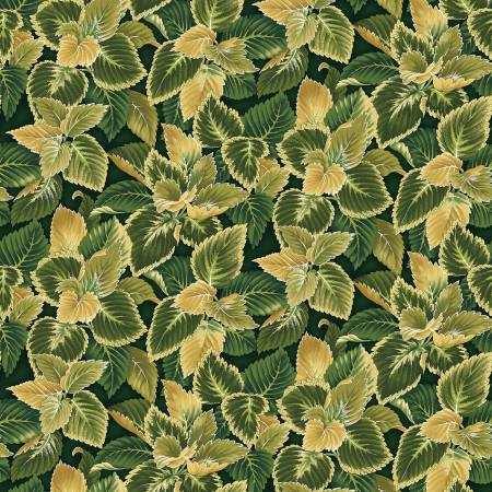Flower Festival Forest Coleus by Benartex Sold by the Half Yard