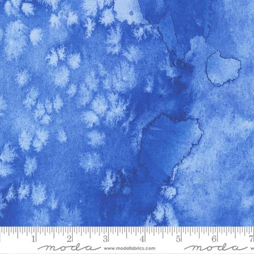 Eufloria Cornflower 8433 64 from Moda Fabrics