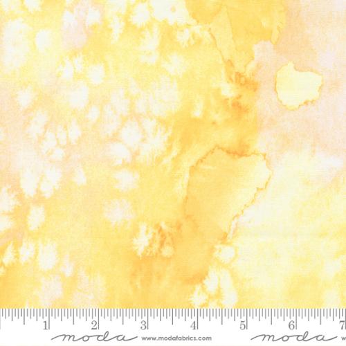 Eufloria Canary 8433 63 from Moda Fabrics