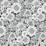 Charcoal Upsy Daisy Sold by the Half Yard