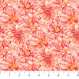 Morning Blossom Dahlia Toss Coral by Northcott Sold by the Half Yard