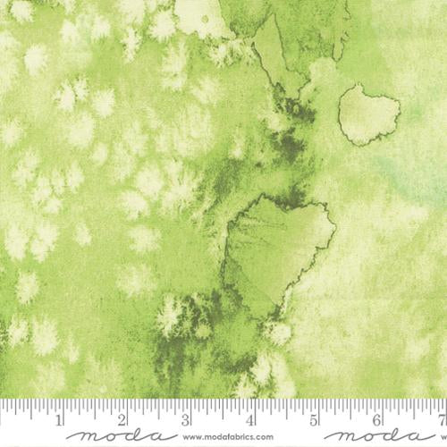 Eufloria Peridot 8433 67 from Moda Fabrics